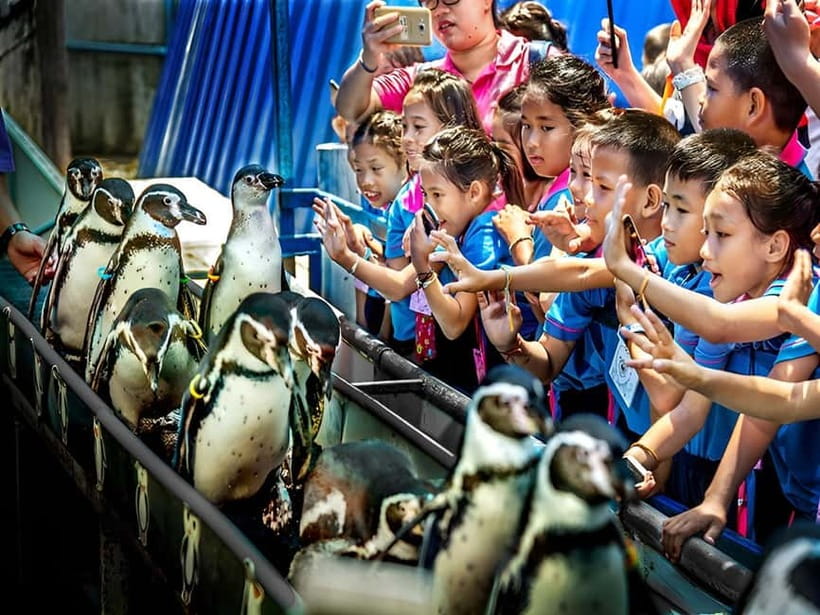 Bangkok/Pattaya: Khao Kheow Zoo Private Tour with Pickup - Animals, feeding, and family appeal