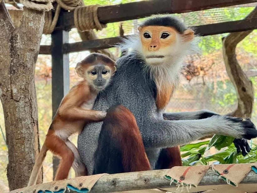 Bangkok/Pattaya: Khao Kheow Zoo Private Tour with Pickup - Who should book this experience?