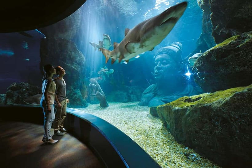 Bangkok: SEA LIFE Bangkok Ocean World Entry Ticket - The Ocean Tunnel is the main event