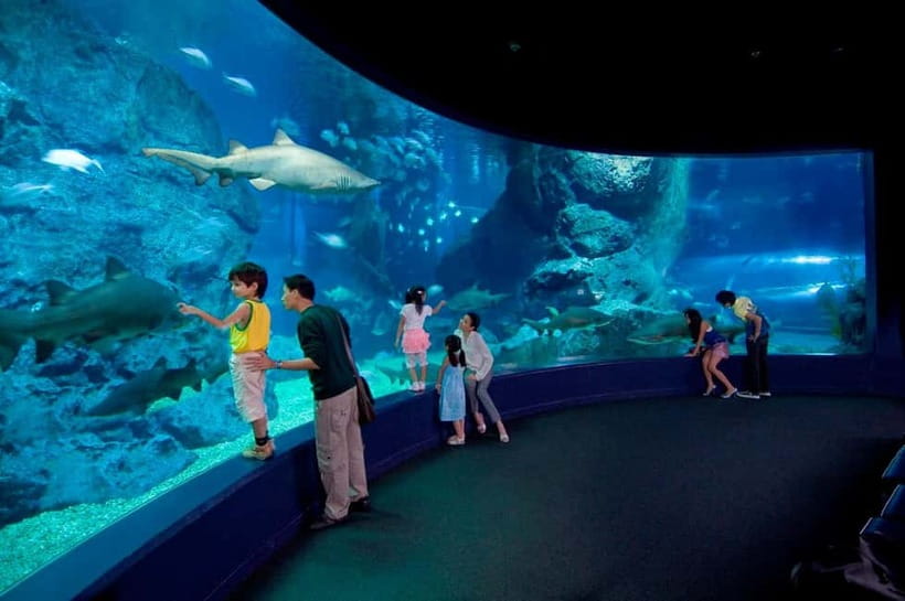 Bangkok: SEA LIFE Bangkok Ocean World Entry Ticket - Feeding shows and underwater demonstrations