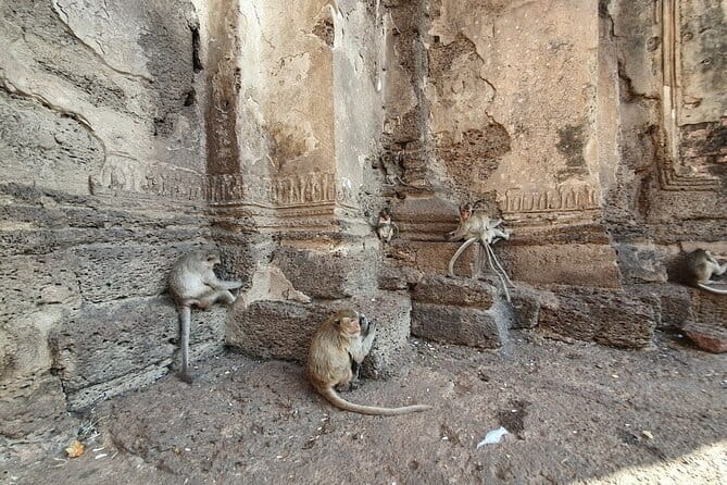Bangkok to Ayutthaya Lopburi Monkey Temple, Largest Buddha Tour - Starting at Museum Siam at 8:00 a.m.