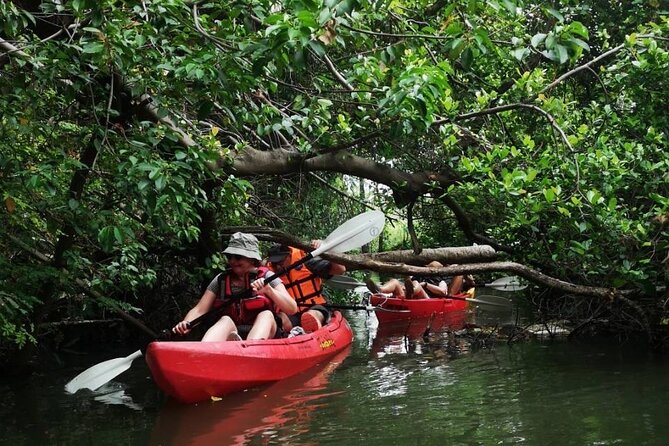 Bangkok Tour by Boat and Bike - A Thai lunch that keeps the day local