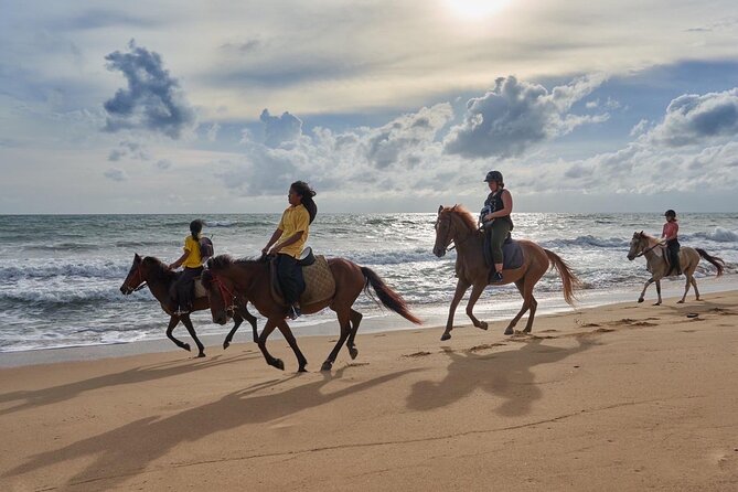 Beach Horse Riding Activity in Phuket – The Thailand Explorer
