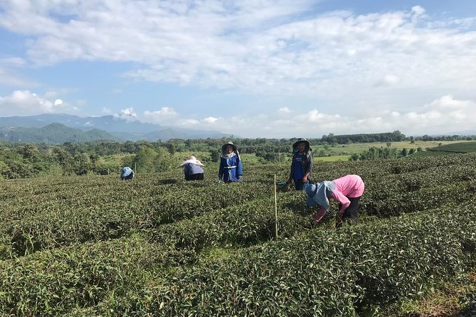 Best 2-Day: Explore Chiang Rai Landmarks from Chiang Mai, Private Trip - What the hotel night and meals add