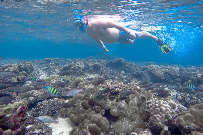 Best of Phi Phi Islands Snorkeling Tour from Phuket - Starting at Royal Phuket Marina