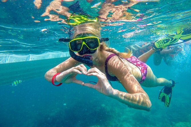 Best of Phi Phi Islands Snorkeling Tour from Phuket - Monkey Beach and the limits of wildlife stops