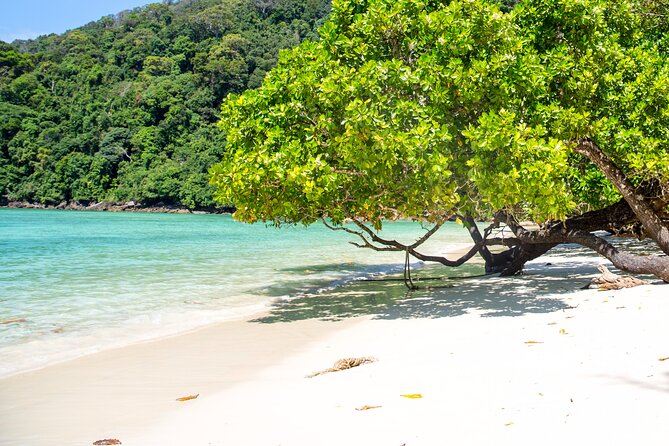 Best Seller - Surin Islands Snorkeling Trip from Khao Lak - Chong Khat Bay: your first chance to snorkel