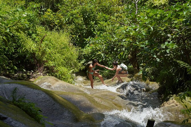 Bua Tong Waterfall Adventure& Huge Cave included Thai Buffet Tour - Lunch, snacks, and the return to Chiang Mai
