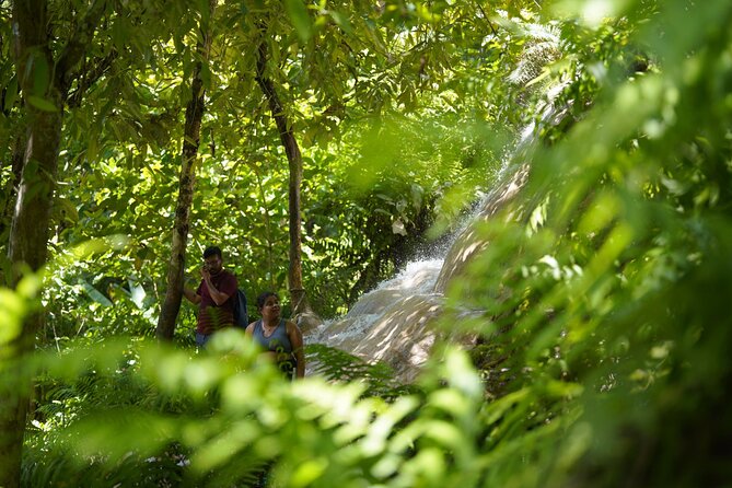 Bua Tong Waterfall Adventure& Huge Cave included Thai Buffet Tour - Who will get the most from this half-day outing