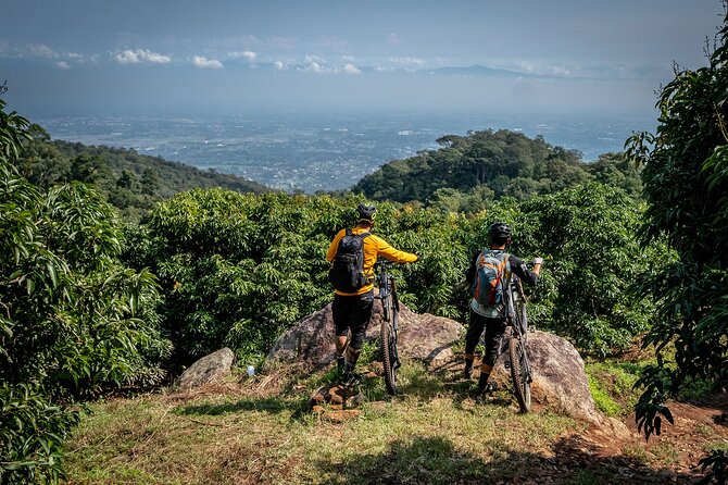 Buffalo Soldier Full Day Mountain Biking Tour Chiang Mai - Five things to know before booking