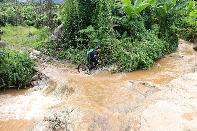 Buffalo Soldier Full Day Mountain Biking Tour Chiang Mai - Is $114.03 good value?