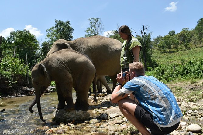 Care Pride Elephants: Full-Day Tour Experience - Walking uphill with the elephants