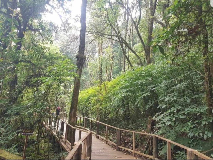 Chang Mai: Doi Inthanon Day Tour w/Waterfalls & Hilltribes - Why Doi Inthanon works as a day trip from Chiang Mai
