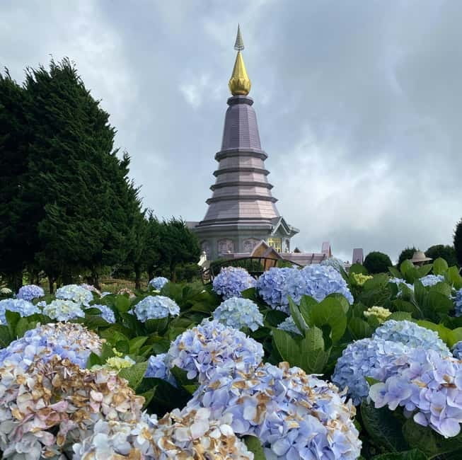 Chang Mai: Doi Inthanon Day Tour w/Waterfalls & Hilltribes - Hmong market, rice fields, and a local look at mountain life