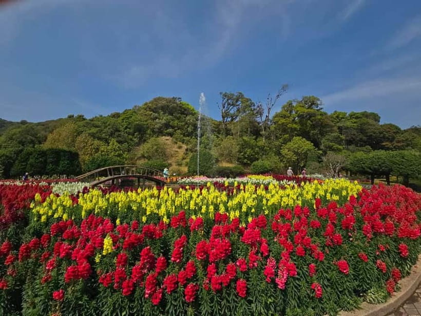 Chang Mai: Doi Inthanon Day Tour w/Waterfalls & Hilltribes - Lunch, van comfort, and the reality of a long day