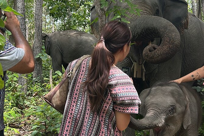 Chiang Mai 1 Day: Elephant Sanctuary, Waterfall & Bamboo Rafting - Jungle walking and bathing with the elephants