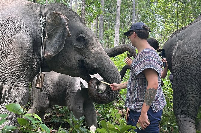 Chiang Mai 1 Day: Elephant Sanctuary, Waterfall & Bamboo Rafting - A quiet ride on bamboo rafts
