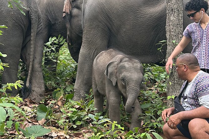Chiang Mai 1 Day: Elephant Sanctuary, Waterfall & Bamboo Rafting - Who will enjoy this experience most?