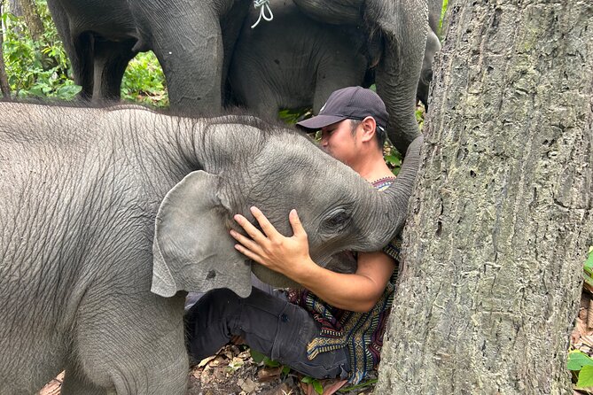 Chiang Mai 1 Day: Elephant Sanctuary, Waterfall & Bamboo Rafting - The early pickup and drive to Doi Inthanon