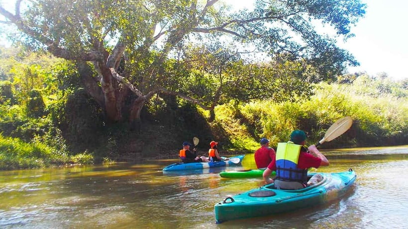 Chiang Mai: 15 km Leisure River Kayaking at Mae Ngat forest - Safety, Equipment, and Group Comfort