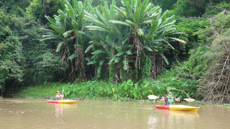 Chiang Mai: 15 km Leisure River Kayaking at Mae Ngat forest - Three Hours Between Chur Lare Bridge and the Forest