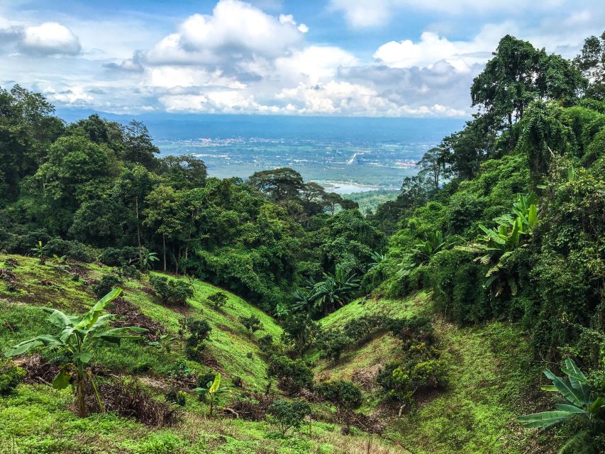 Chiang Mai: 20km Downhill Mountain Biking Challenge Suthep M - Two hours through forest tracks and a Hmong village
