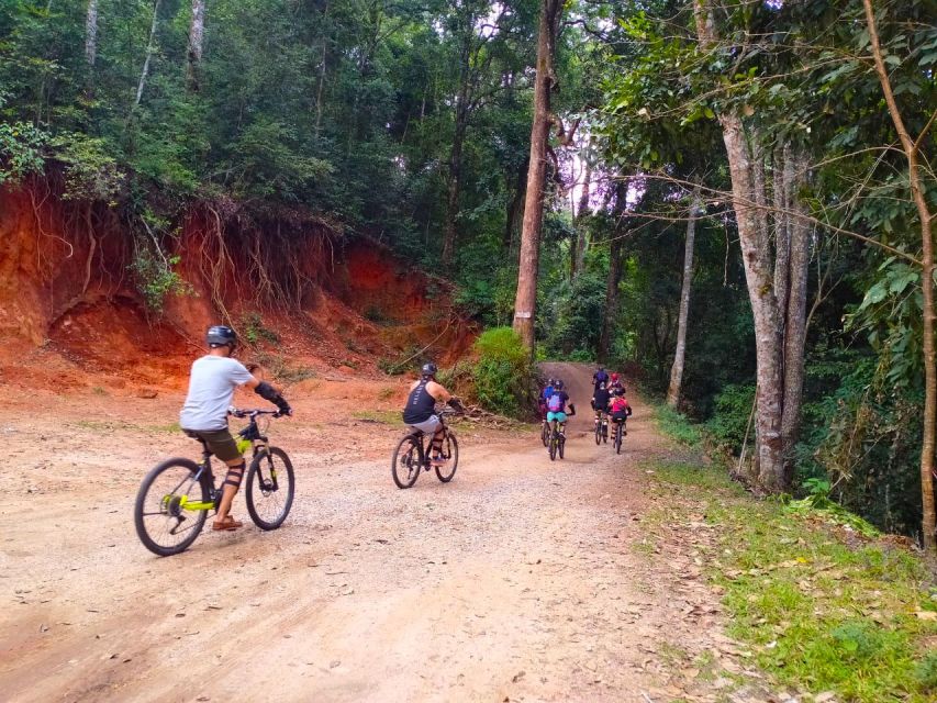 Chiang Mai: 20km Downhill Mountain Biking Challenge Suthep M - Is the $60 price good value?