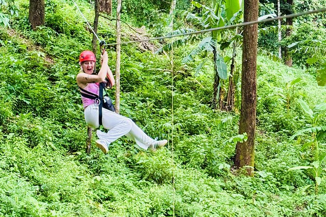 Chiang Mai 3 in 1 Zipline, Elephants and Sticky Waterfall - Ziplining above the Chiang Mai forest