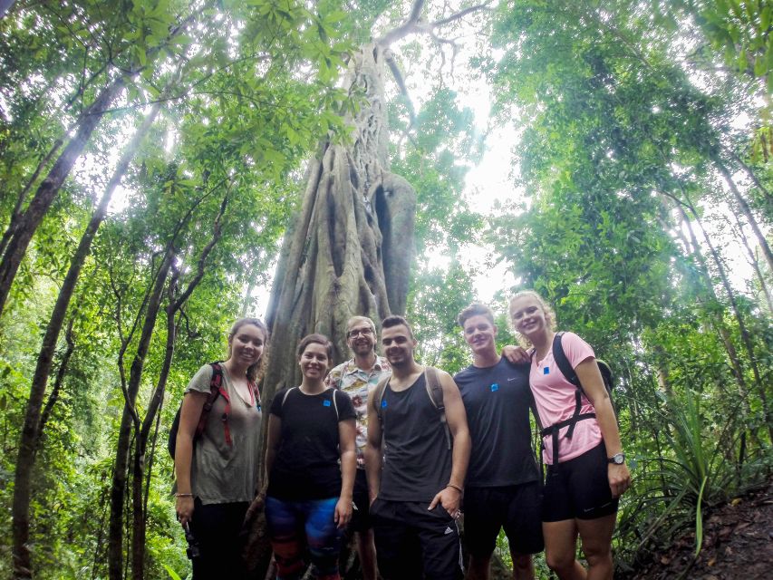Chiang Mai: 7-Hour Doi Suthep National Park Summit Hiking - Key things to know before hiking Doi Suthep