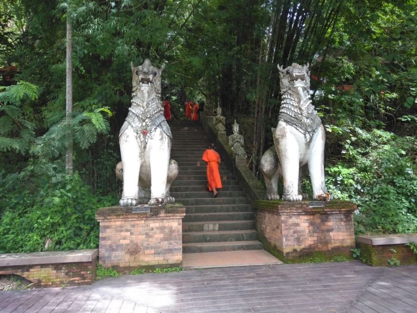 Chiang Mai: 7-Hour Doi Suthep National Park Summit Hiking - Why this Doi Suthep hike is different from a temple visit