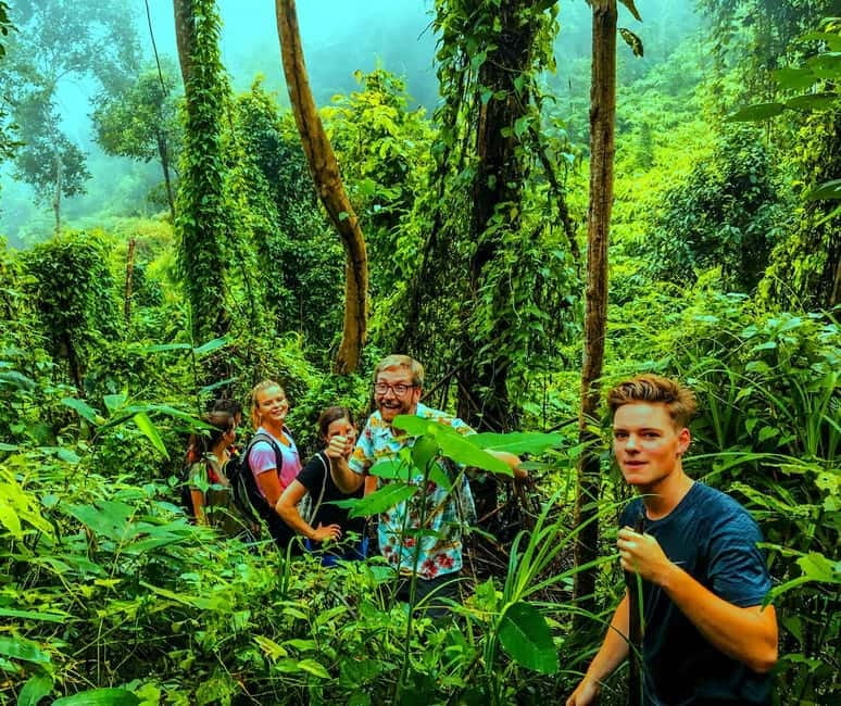 Chiang Mai: 7-Hour Doi Suthep National Park Summit Hiking - Wat Phra That Doi Suthep combines culture and big views