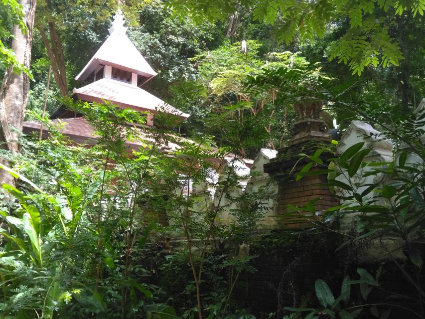 Chiang Mai: 7-Hour Doi Suthep National Park Summit Hiking - The two-and-a-half-hour forest section is the real test