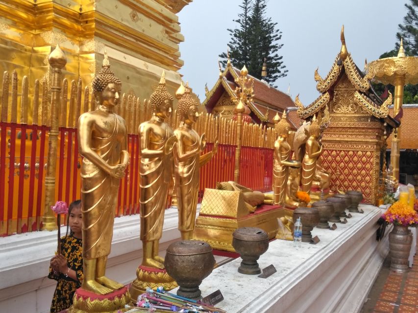 Chiang Mai: 7-Hour Doi Suthep National Park Summit Hiking - Doi Pui rewards your effort with open views
