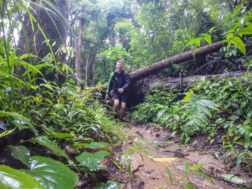 Chiang Mai: 7-Hour Doi Suthep National Park Summit Hiking - Lunch arrives late, but the setting helps