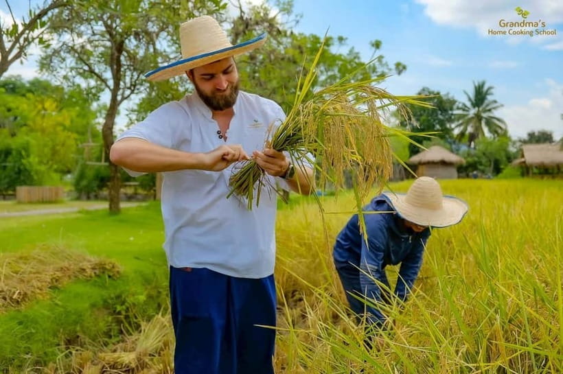 Chiang Mai: Authentic Cooking Class with Market & Farm Visit - Who will enjoy this Chiang Mai cooking class?