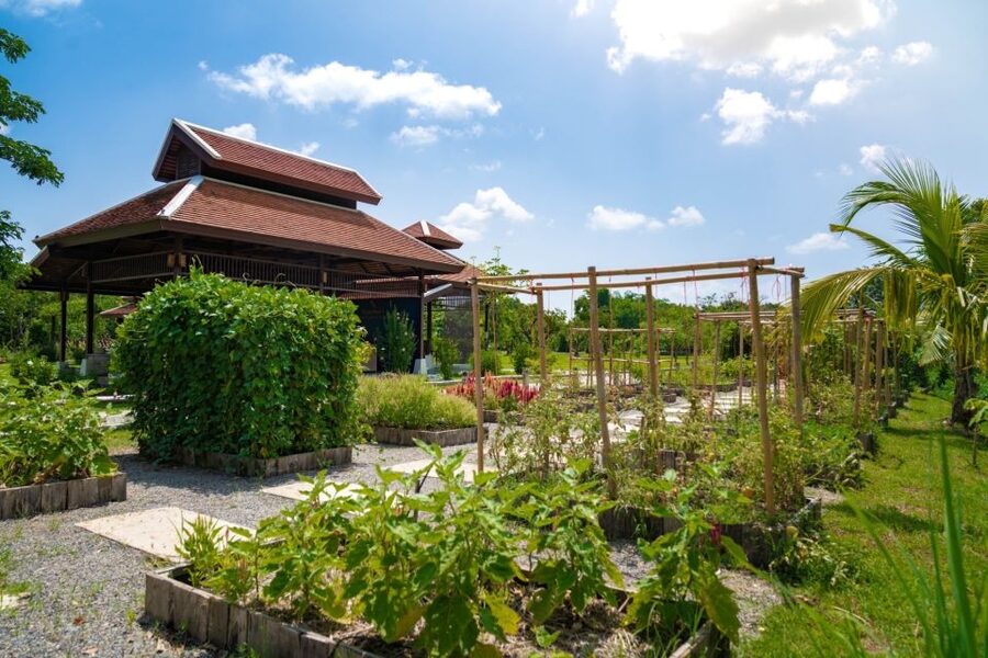 Chiang Mai: Authentic Cooking Class with Market & Farm Visit - From Chiang Mai hotel to the local market