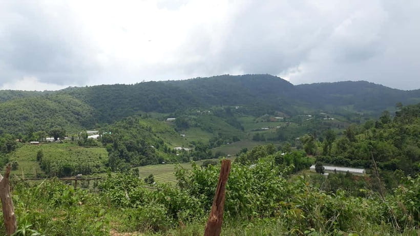 Chiang Mai Authentic Trekking - Forest lunch and farm paths