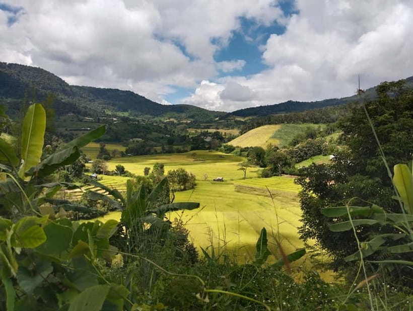 Chiang Mai Authentic Trekking - The morning drive and local market stop