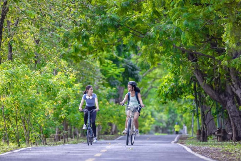 Chiang Mai Bicycle: Into The Lanna Countryside Guided Tour - Schools, temples, shrines, and local work