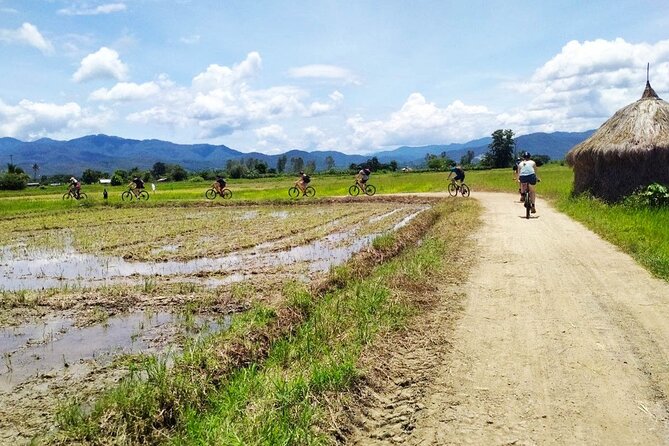 Chiang Mai Biking & River Kayak : Gentle Thrills in a Lush Valley - Lunch at Mango Plantation Restaurant