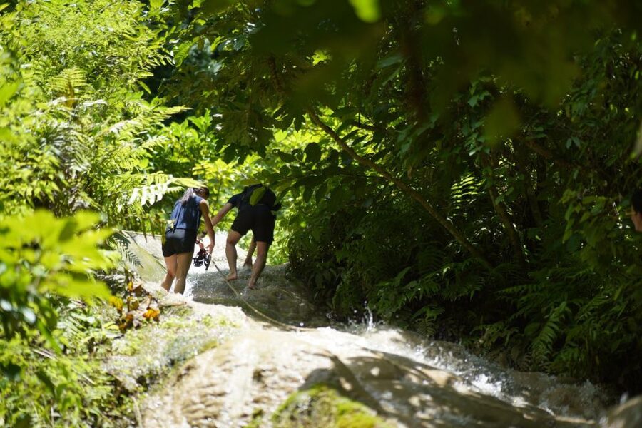 Chiang Mai: Bua Thong Sticky Waterfall & Huge Cave & Buffet - Who should book this Chiang Mai day trip?