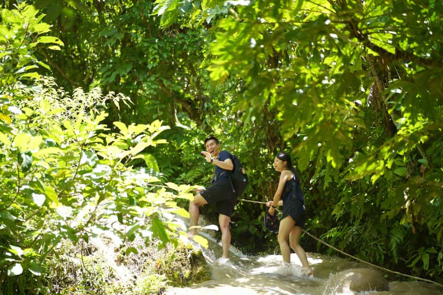Chiang Mai: Bua Thong Sticky Waterfall & Huge Cave & Buffet - Leaving Chiang Mai in an air-conditioned van