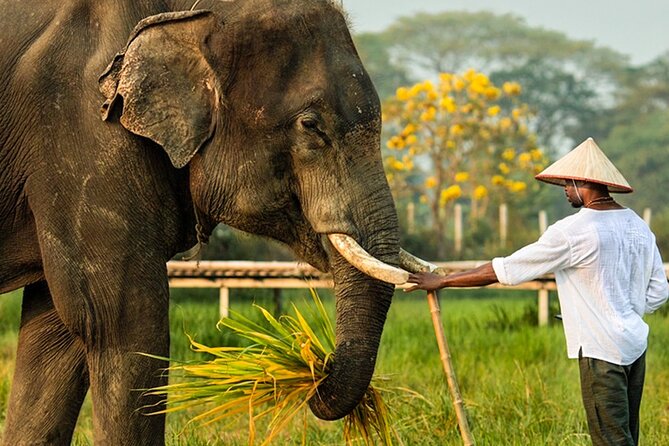 Chiang Mai Chapulin Elephant Care and Sticky Waterfall - Adding Bua Thong Sticky Waterfall