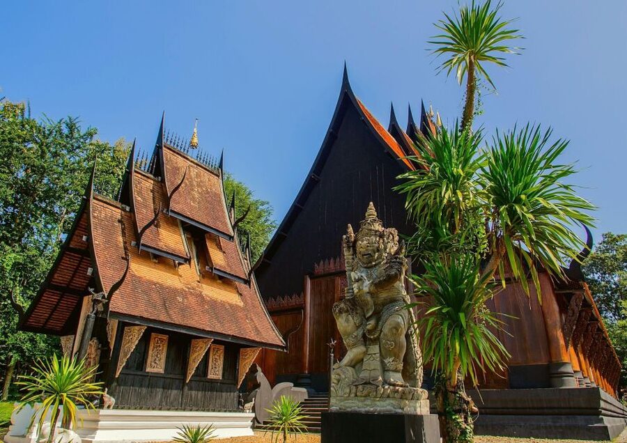 Chiang Mai: Chiang Rai Temples & Black House Discovery Tour - Who will enjoy this Chiang Rai outing most