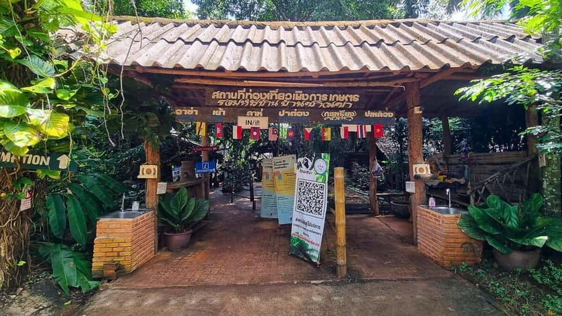 Chiang Mai: Chiang Rai Temples, Golden Triangle & Boat Tour - What the $70 price really buys you
