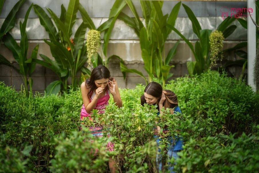 Chiang Mai: Cooking Class with Organic Farm at Mama Noi - FAQ