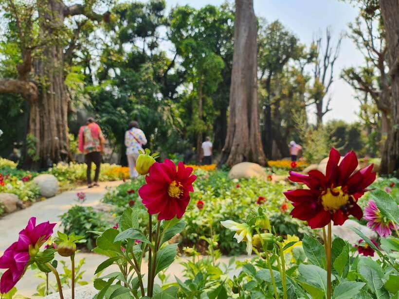 Chiang Mai: Dantewada Land of Angels & Sticky Waterfall Tour - Who should book this Chiang Mai waterfall tour?