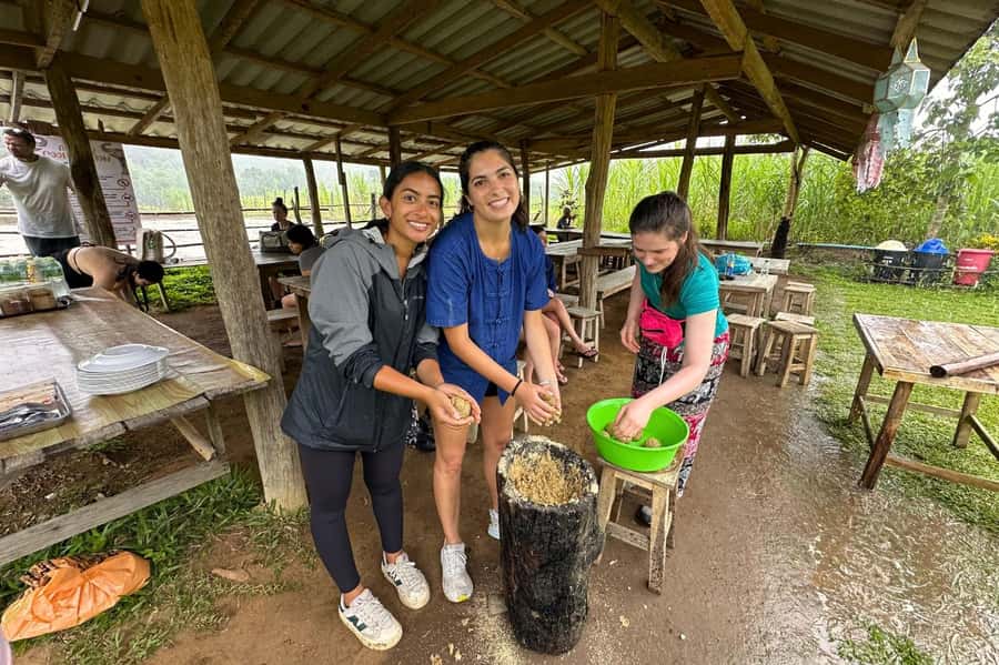 Chiang Mai: Day for Elephant Observation Only Half-day Trip - Key points to know before booking