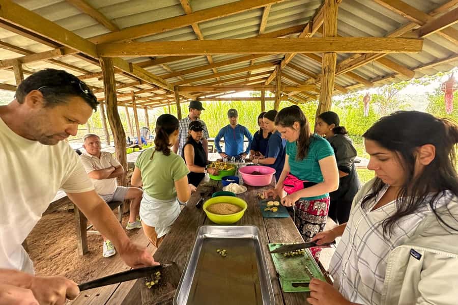 Chiang Mai: Day for Elephant Observation Only Half-day Trip - Learning how elephants live before feeding them