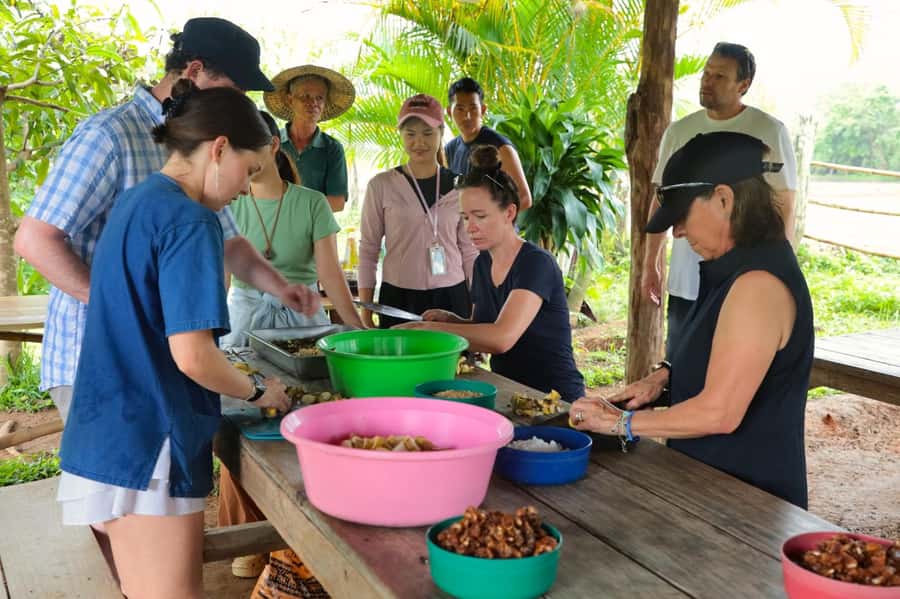 Chiang Mai: Day for Elephant Observation Only Half-day Trip - Preparing food and vitamin balls